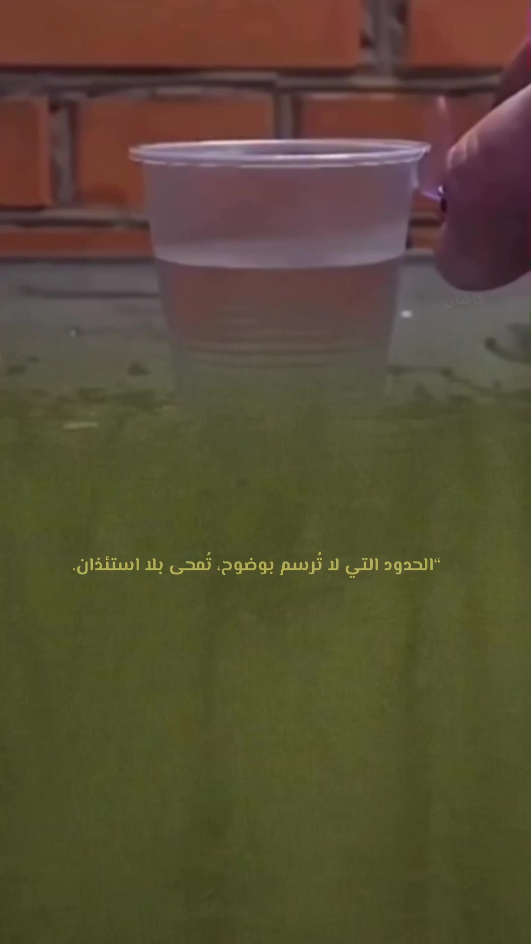 @kashin_02