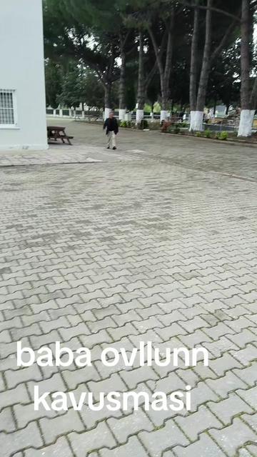 @Elif