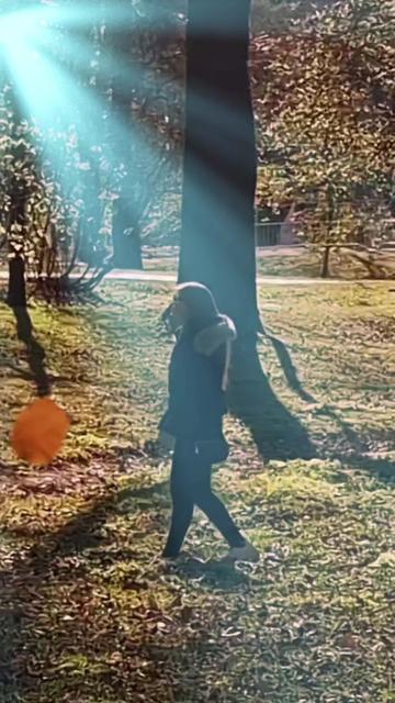 @shabnam0330