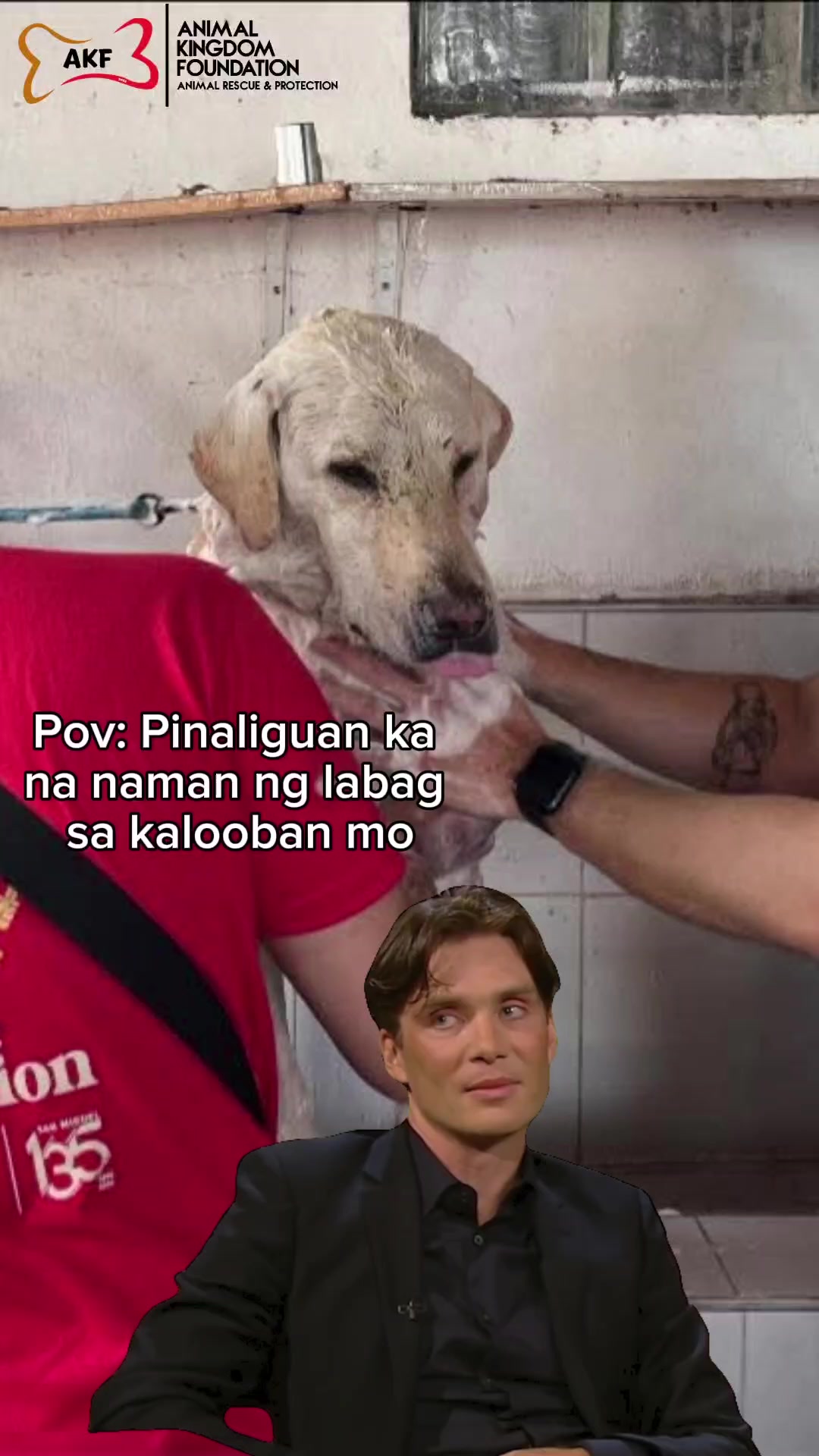 @AnimalKingdomFoundation