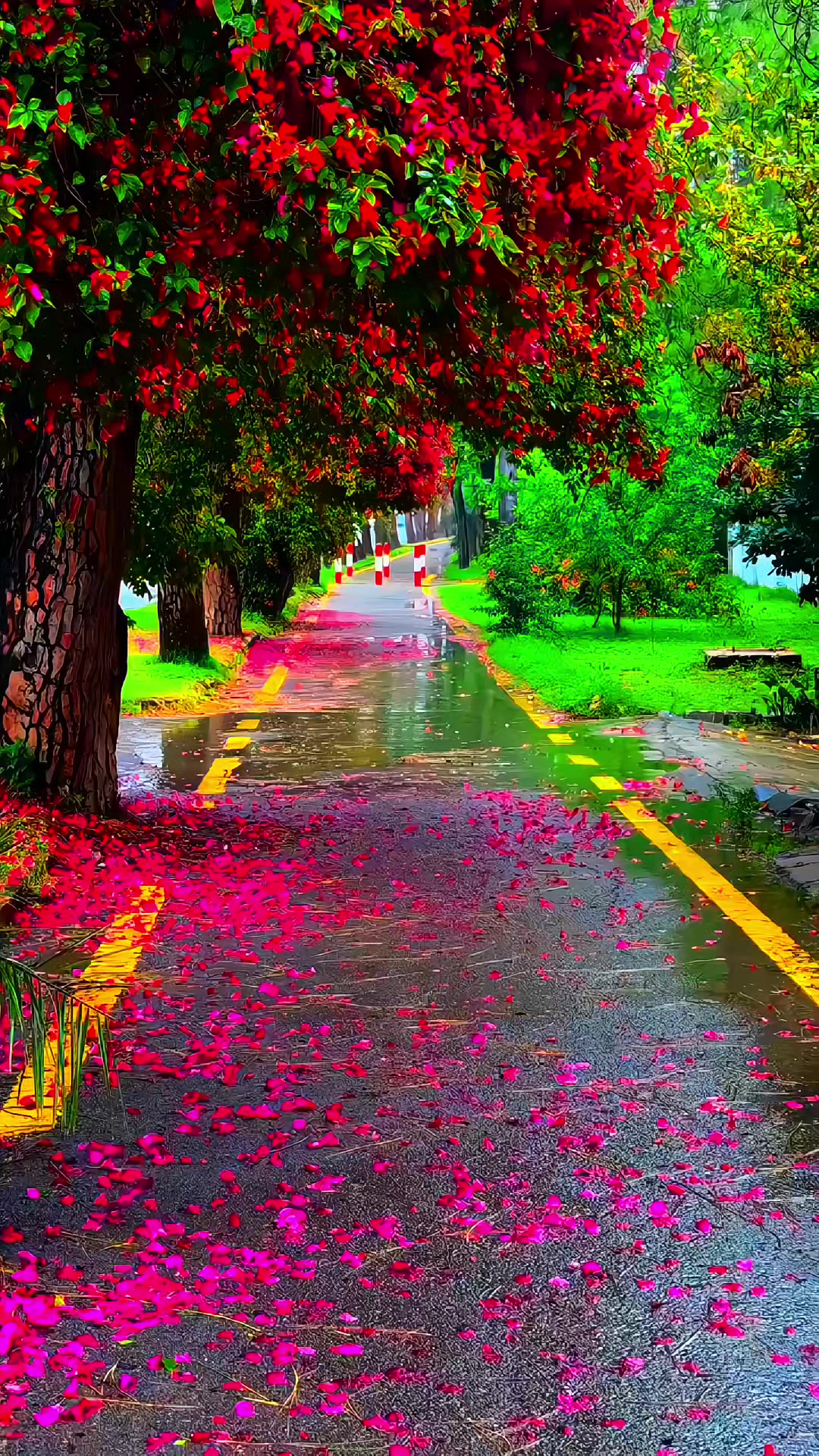@@▄︻デN&sect;══━一