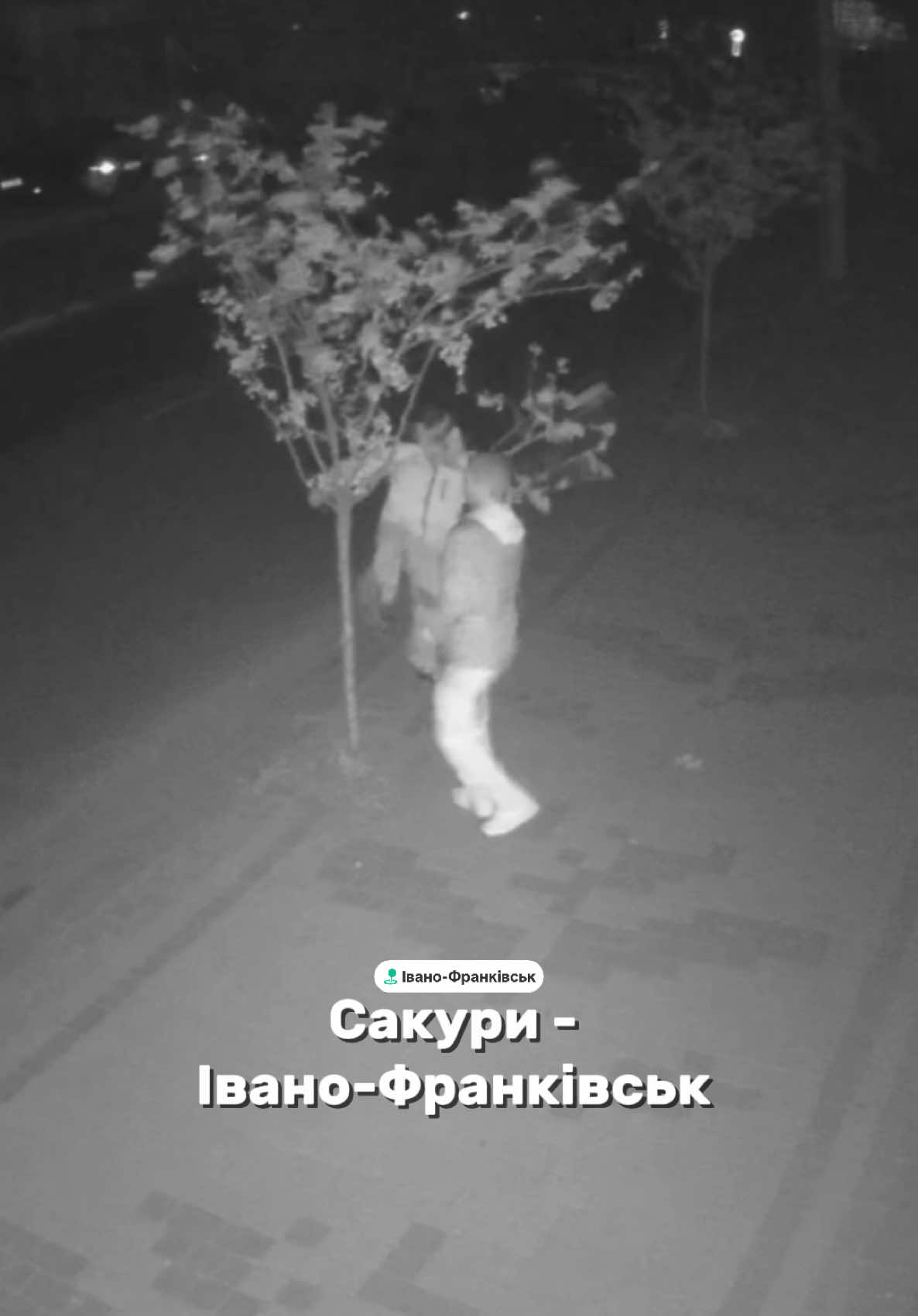 @Taras Skakun