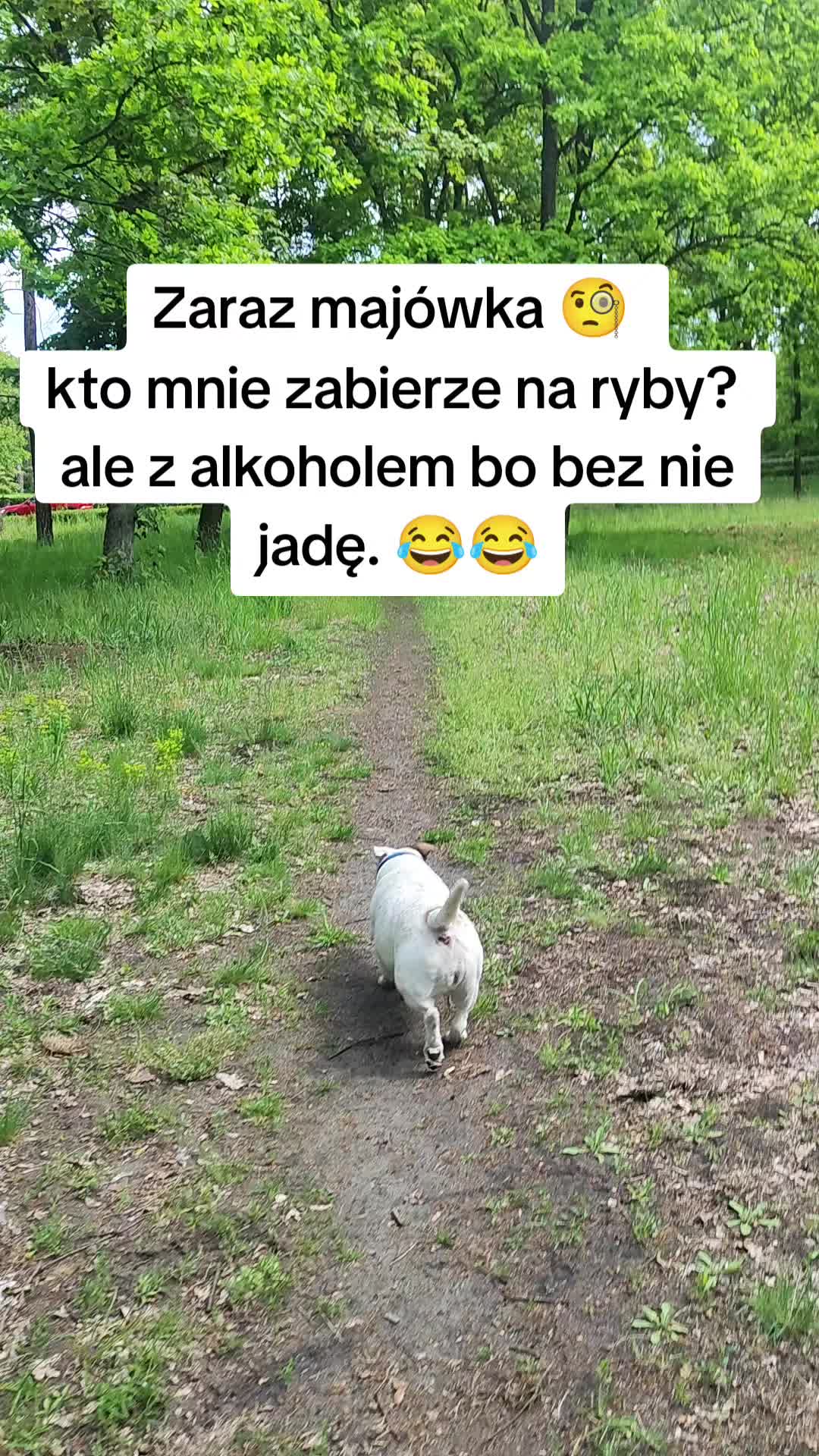 @Ruda Marta  🦊👑
