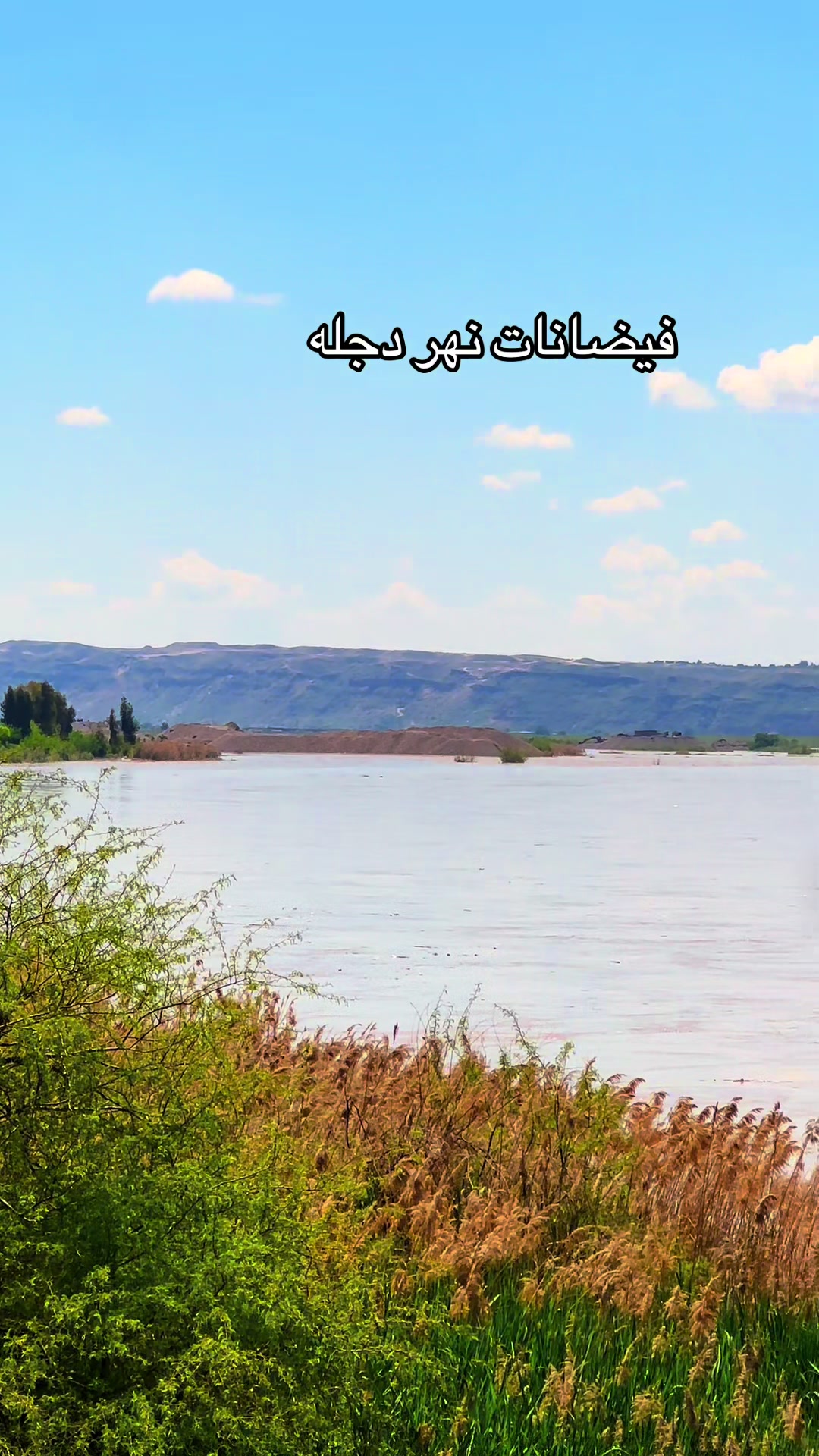 @محمد محجوب السطم