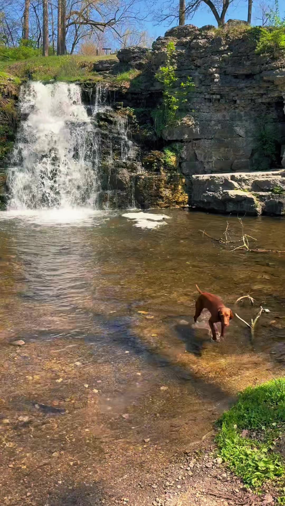 @Wiggle butt
