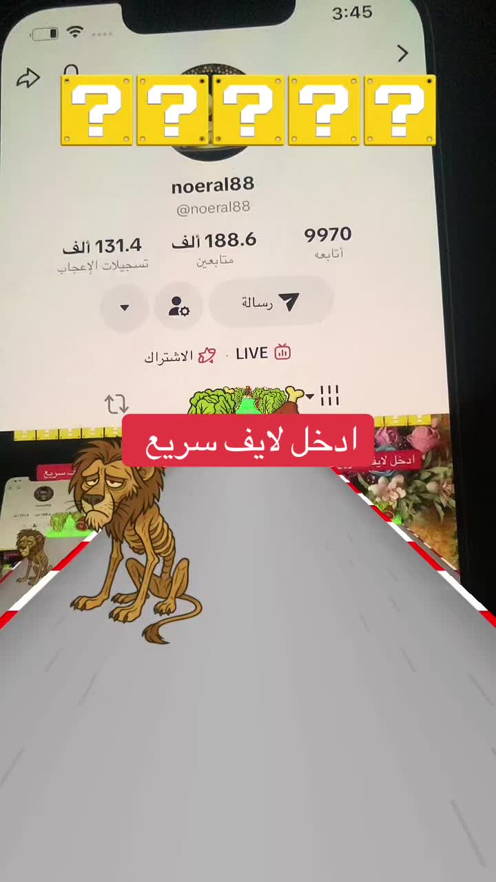 @noeral88