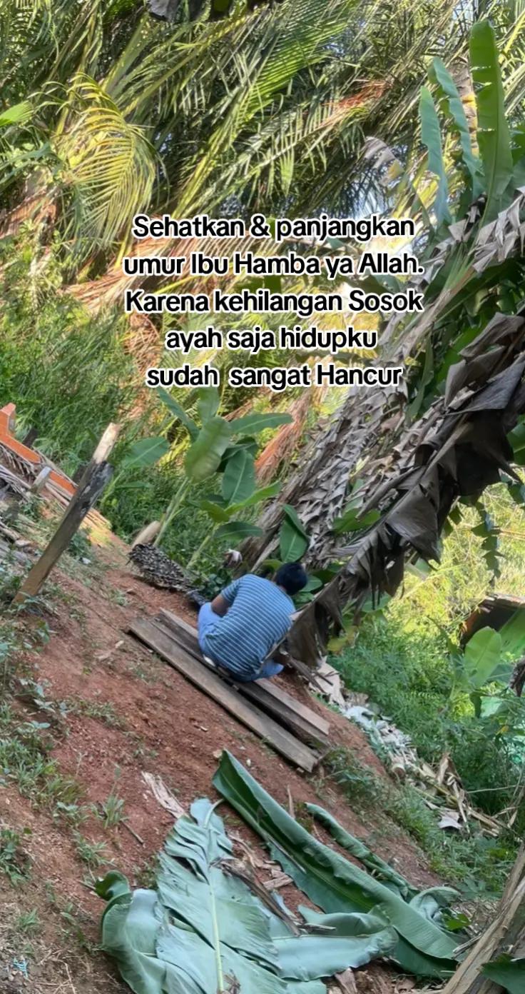 @Dhani