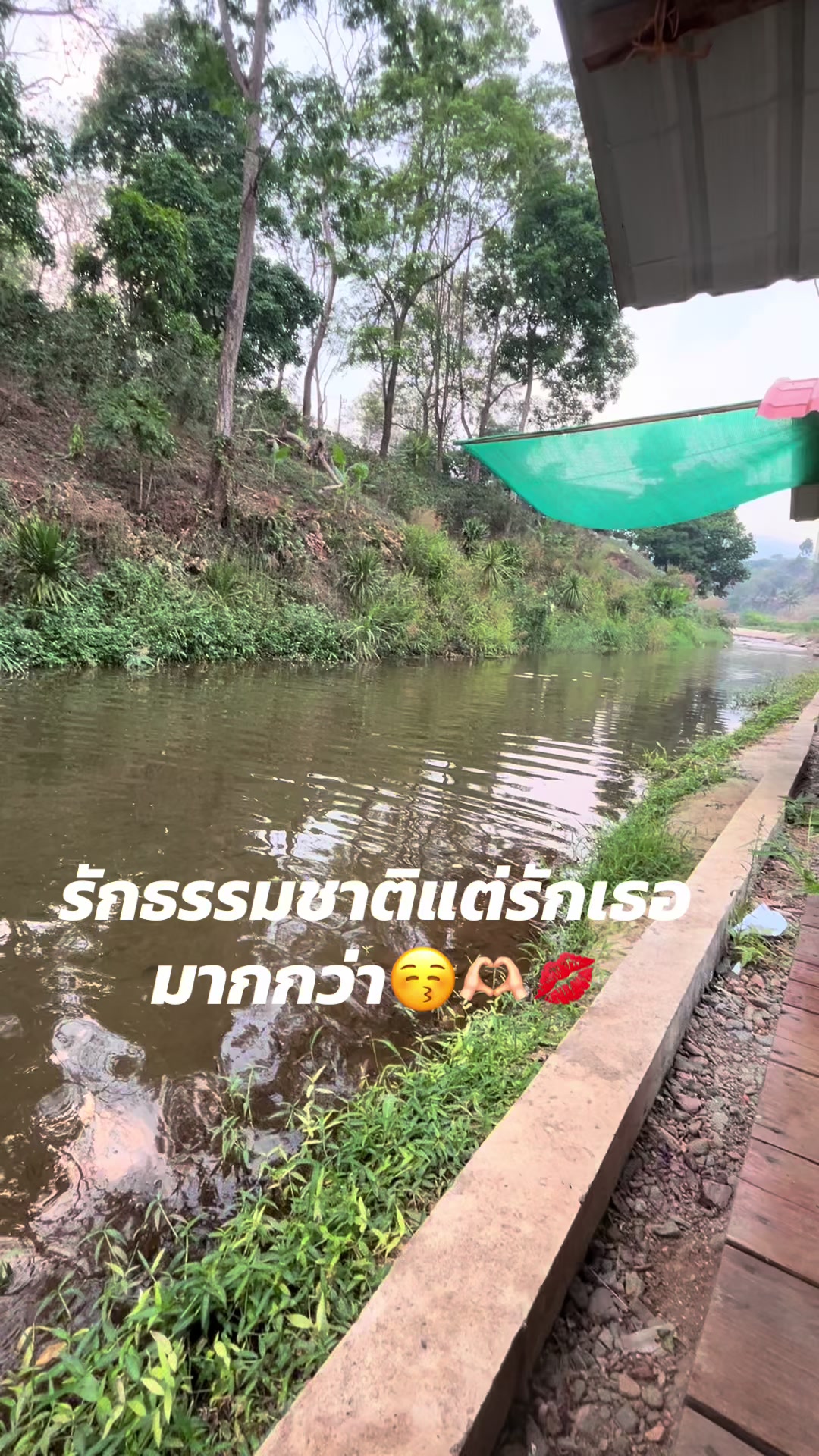 @ข้าวหอม🌾💕