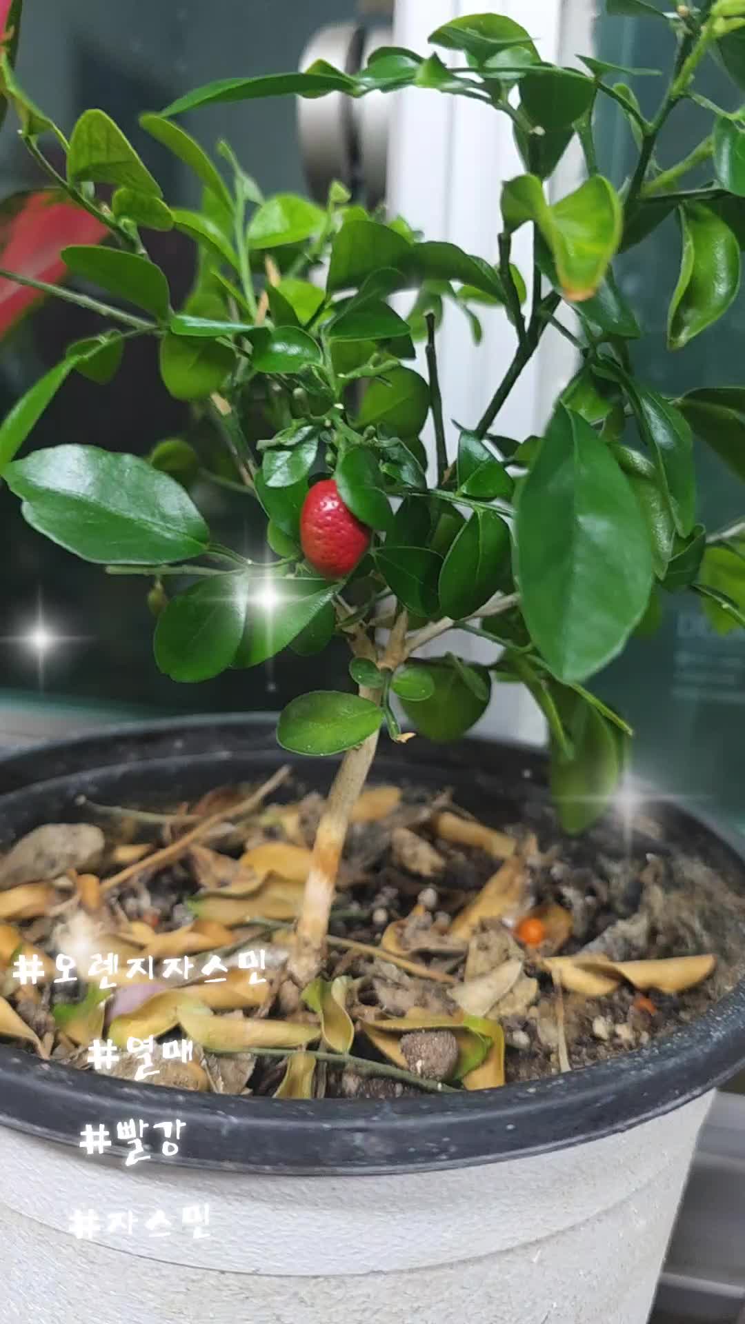 @쑥이네