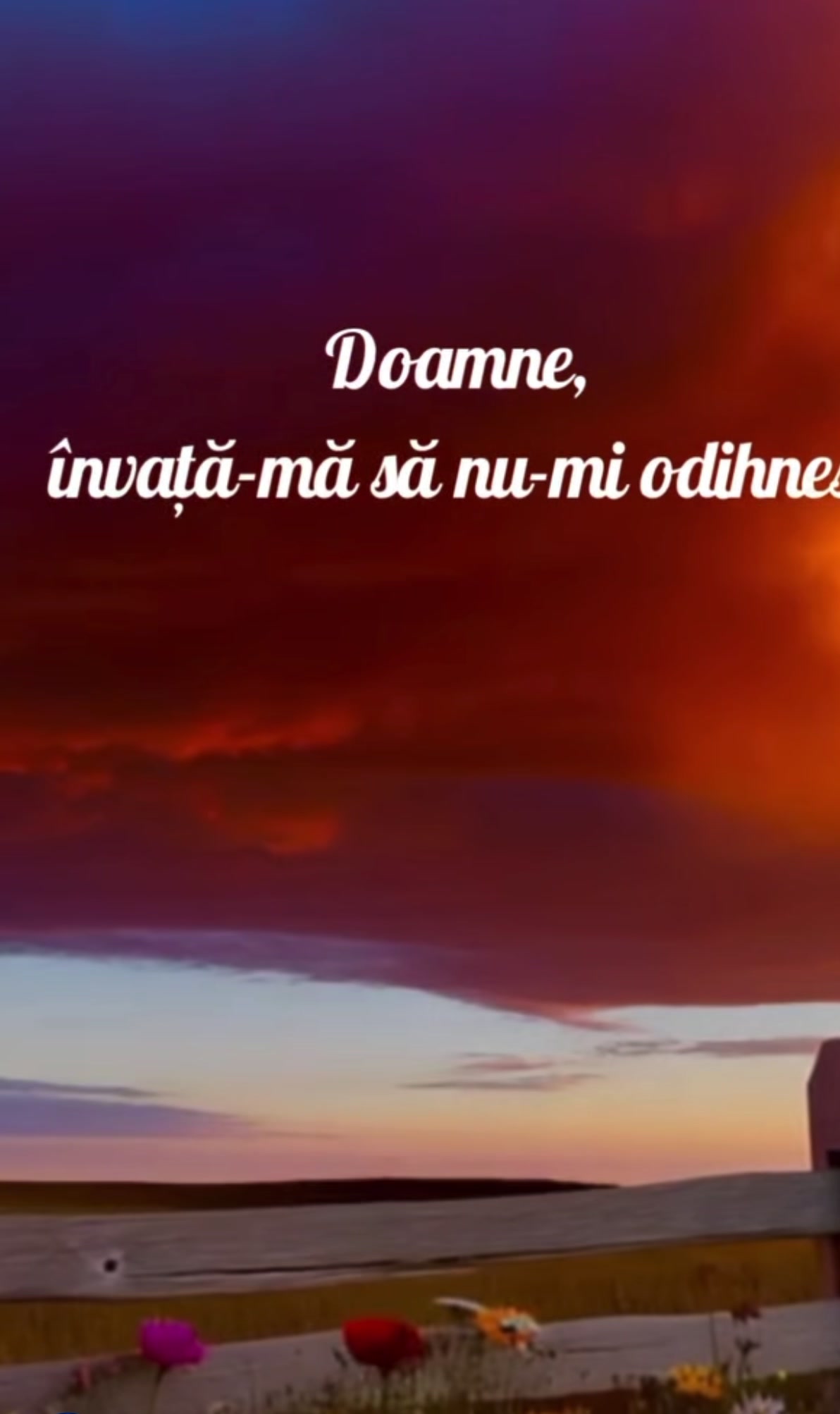 @FLORIN POP