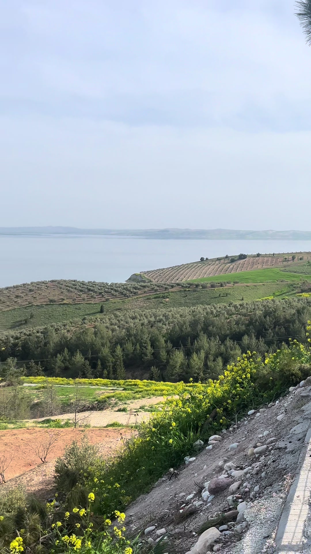 @T&uuml;rkan