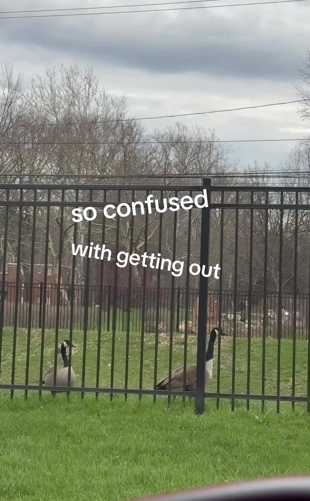 @Tammy
