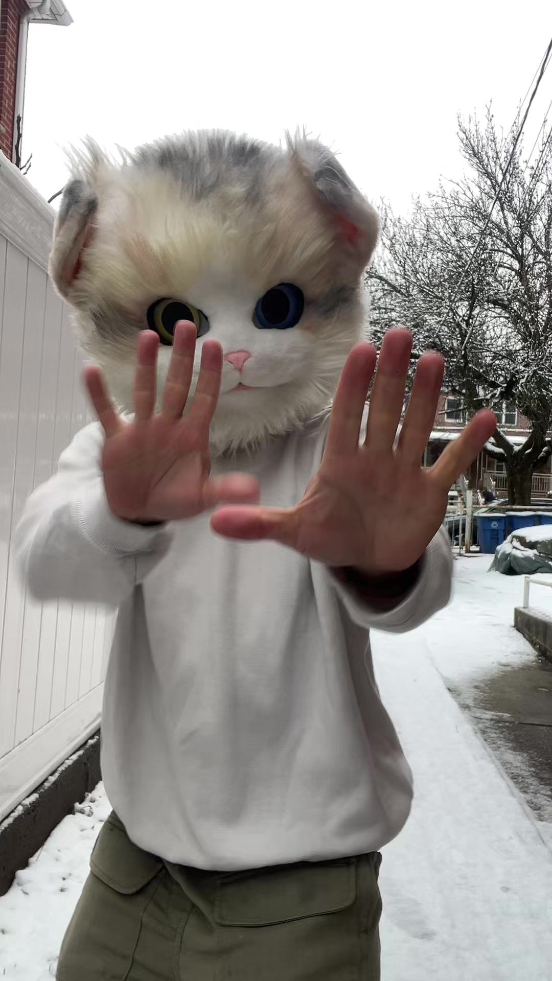 @The CaT 😼