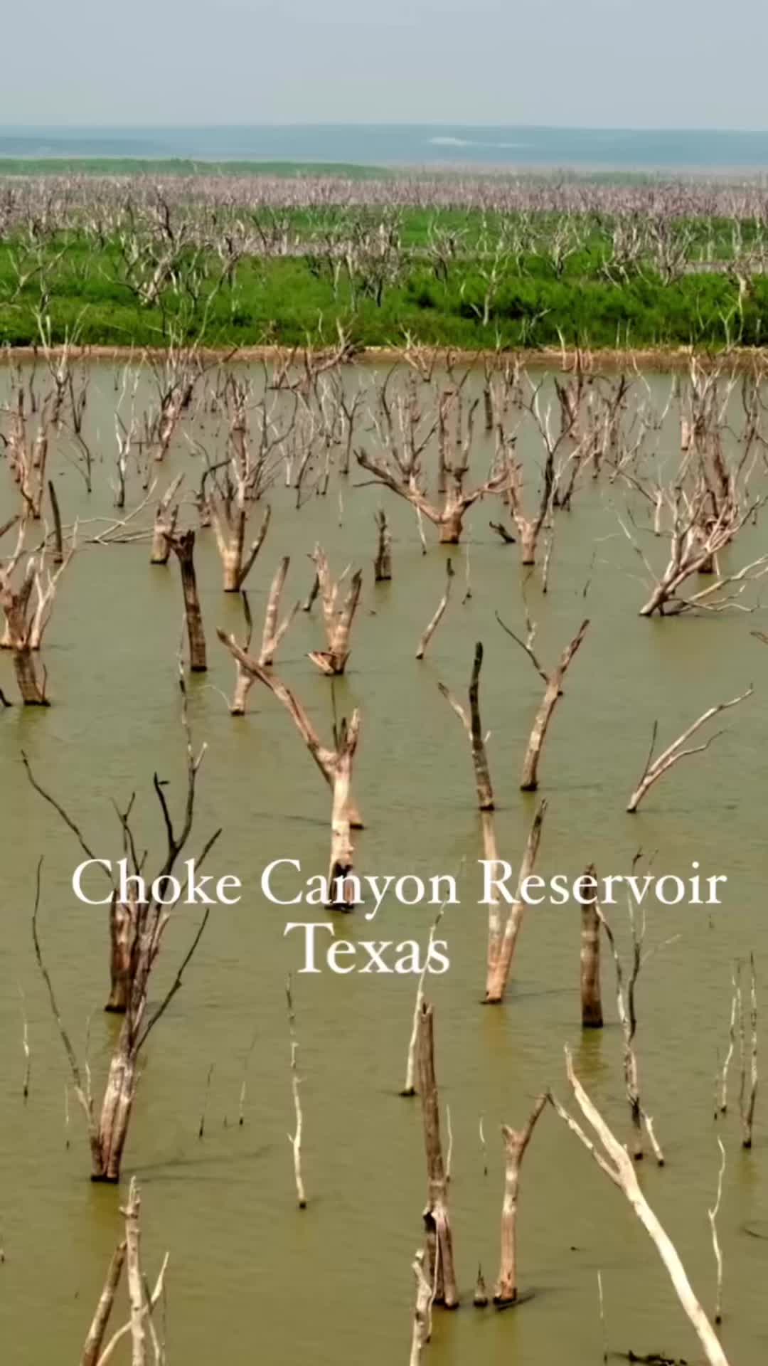 @Drone Hypnotics Tx Landscape
