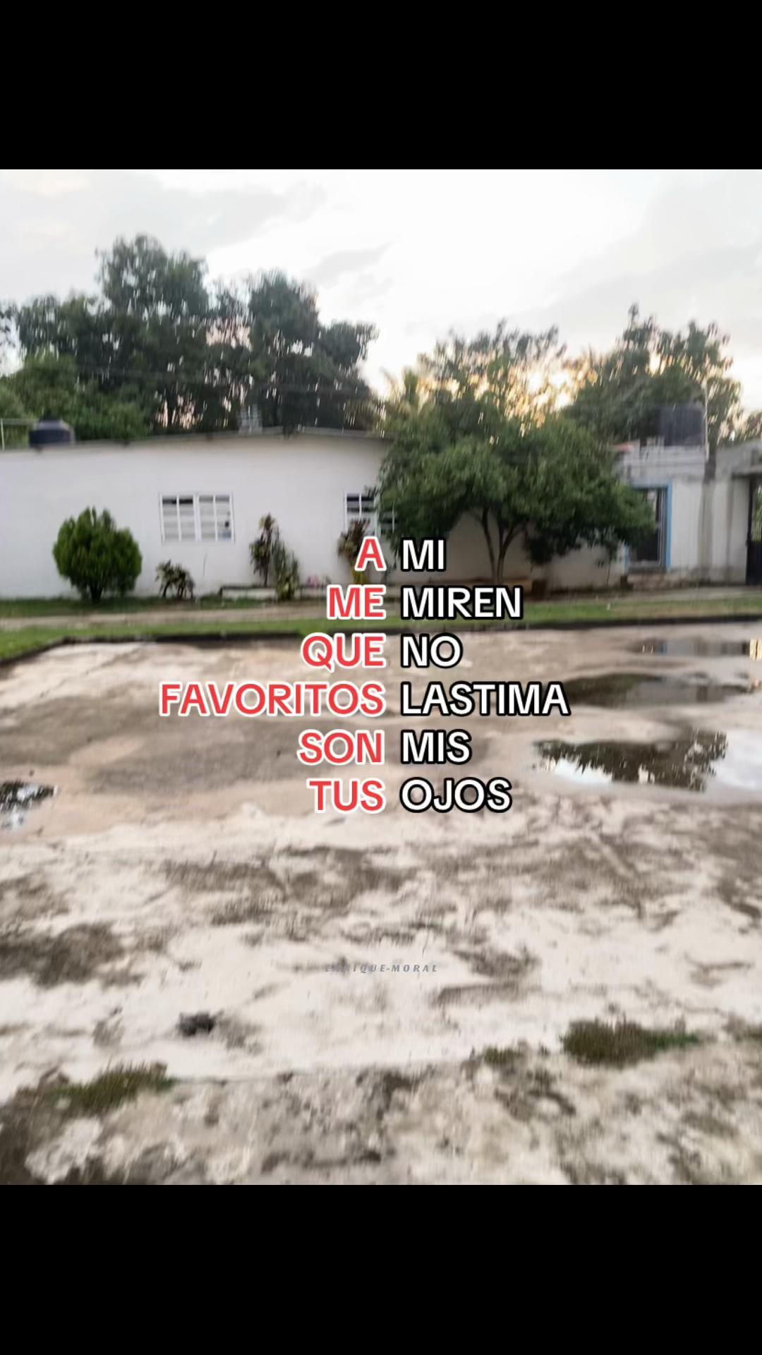 @𓆩Enrique𓆪 🐈