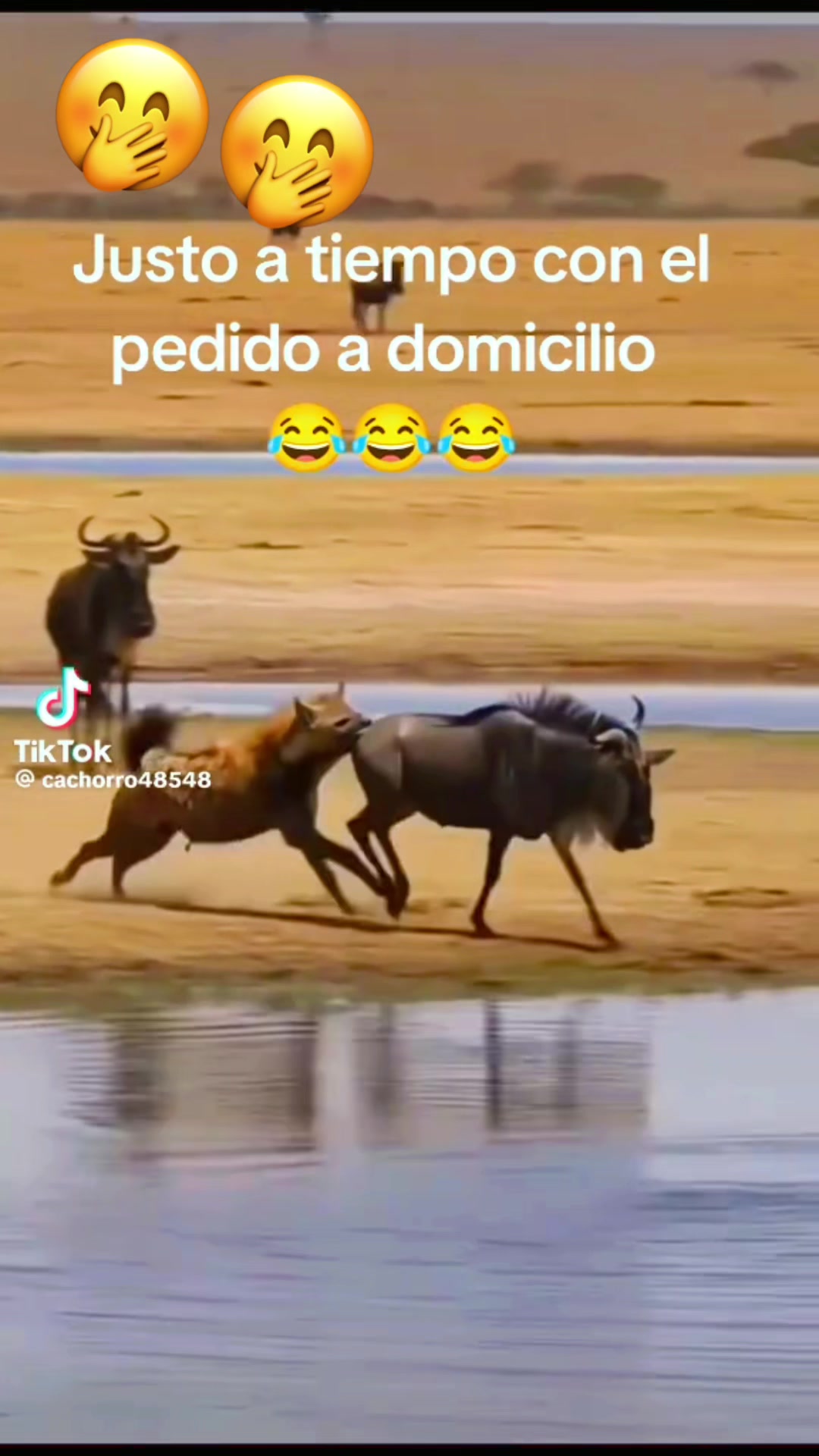 @joseRoss45