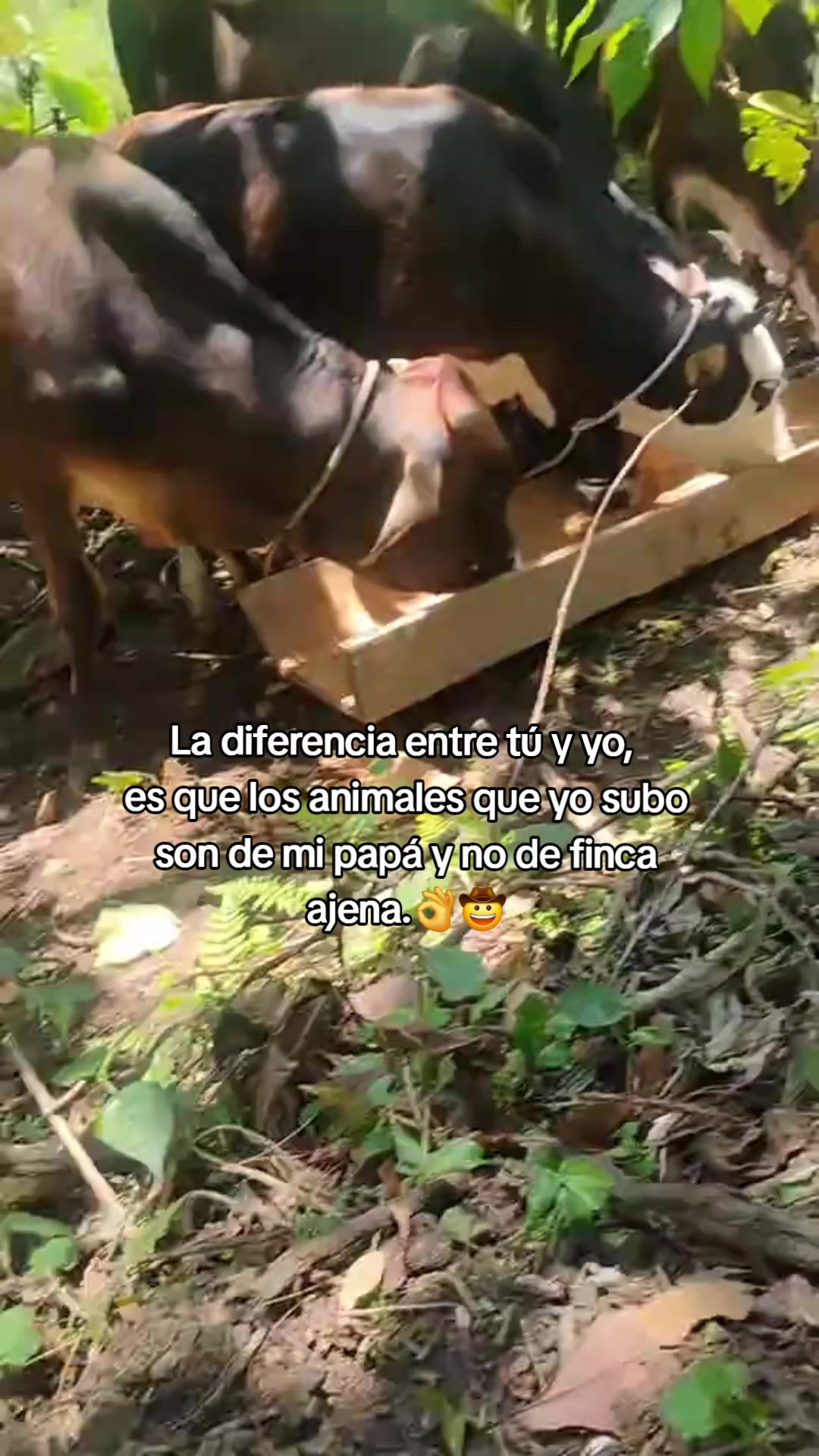 @Mariela Agust&iacute;n 💖👑