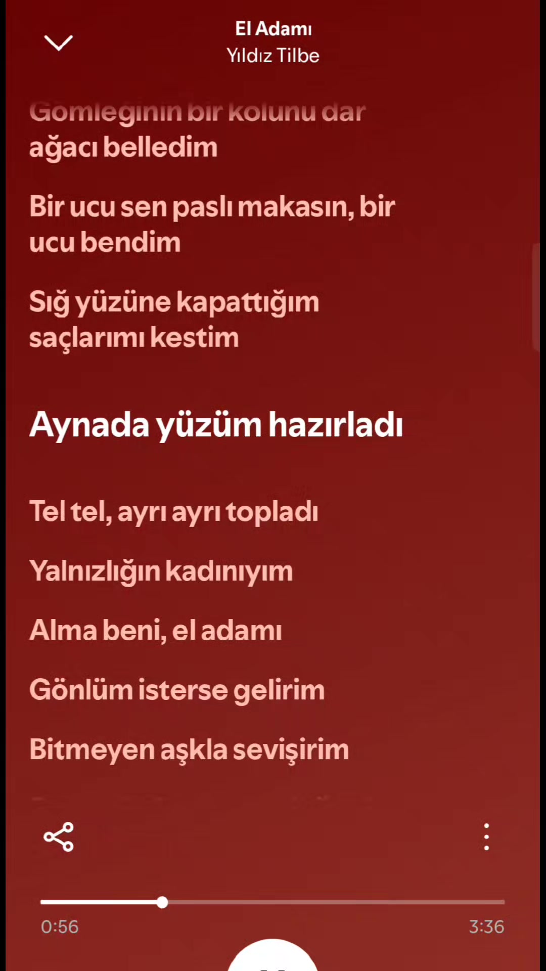 @iremmrck