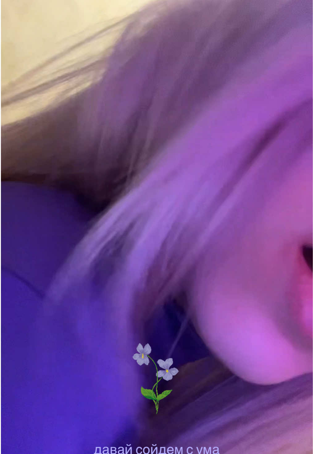 @соня сыркофф