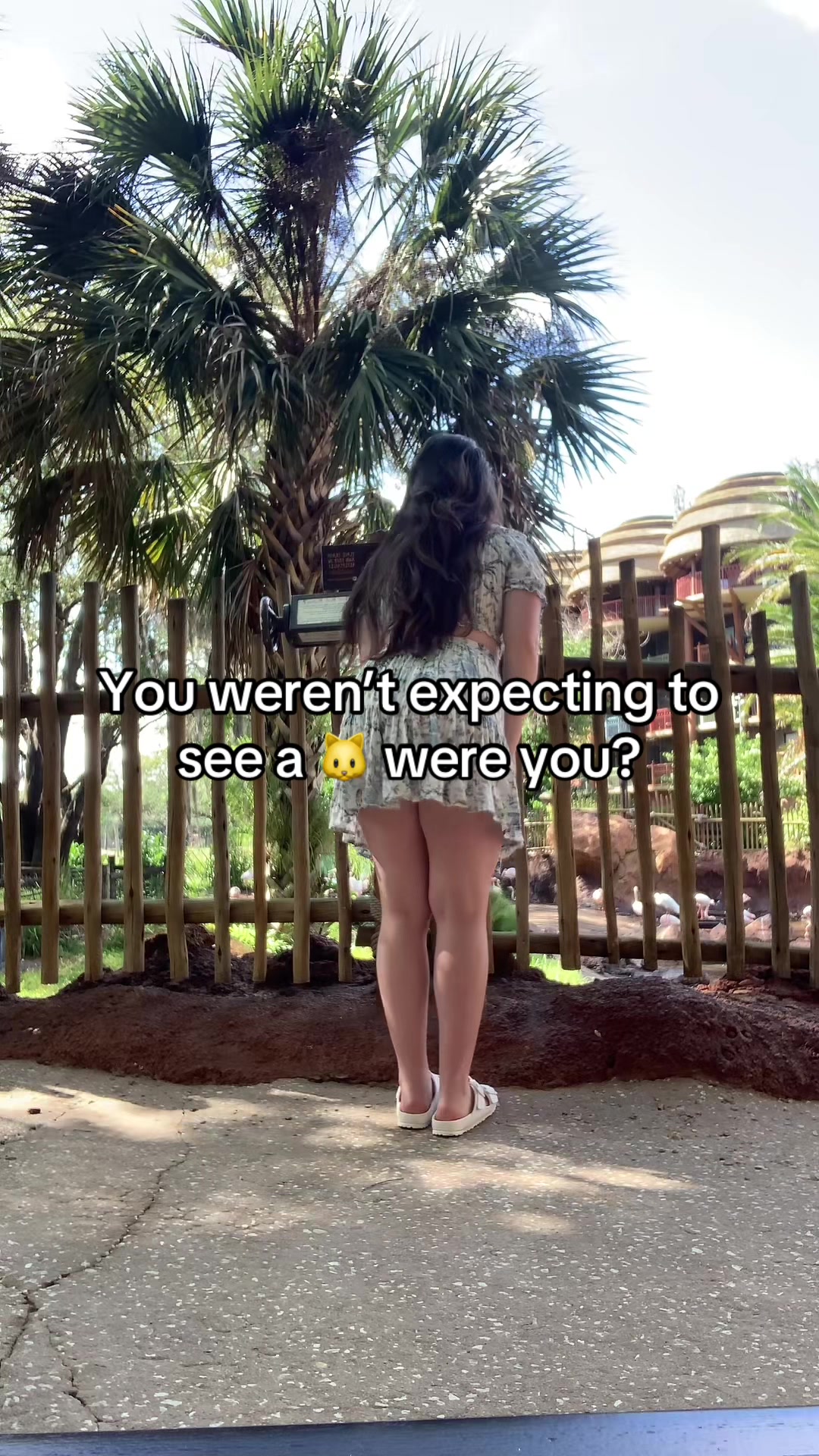@Renee