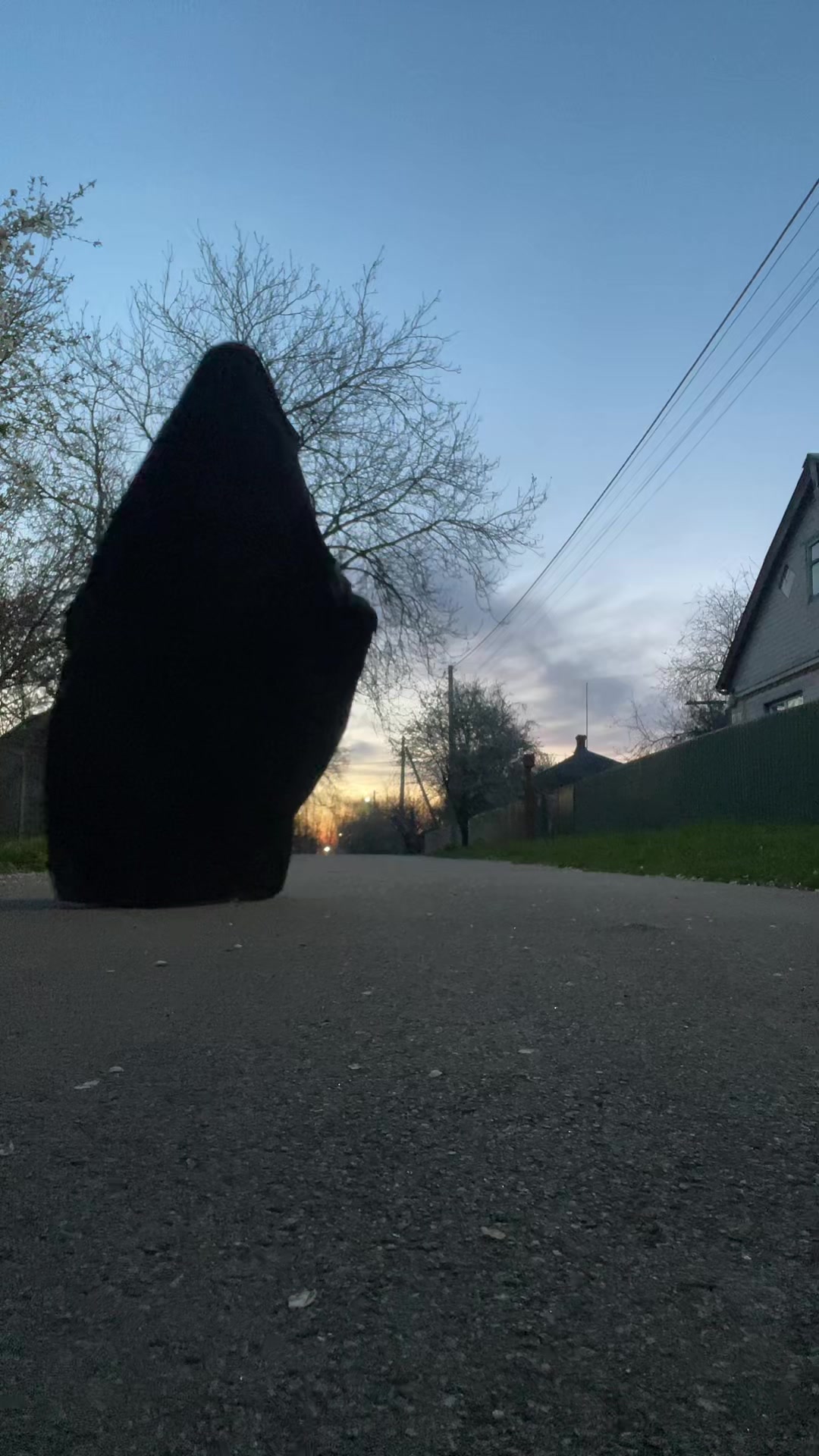 @🐚