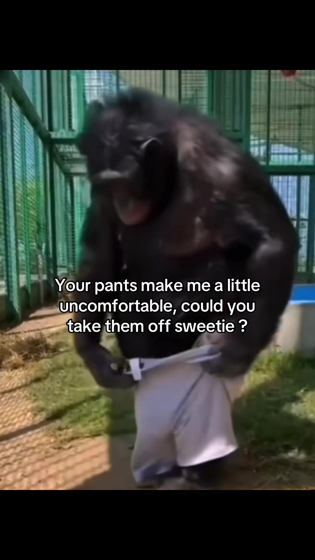 @Rocky