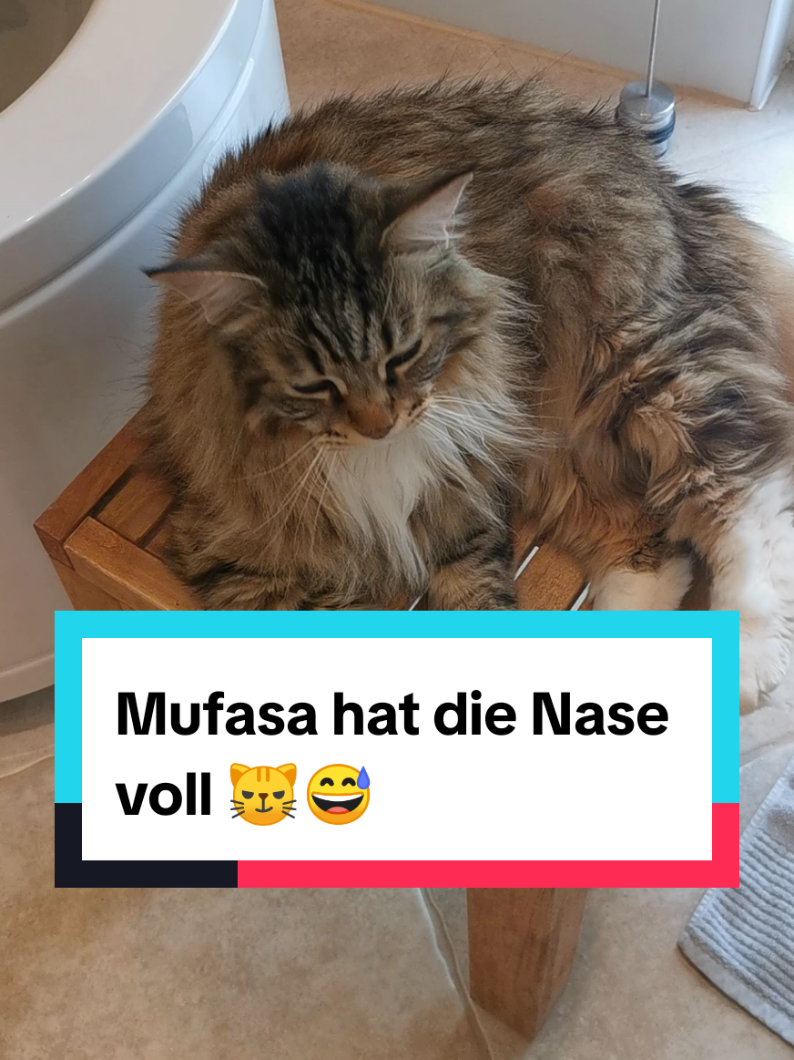 @animalslover