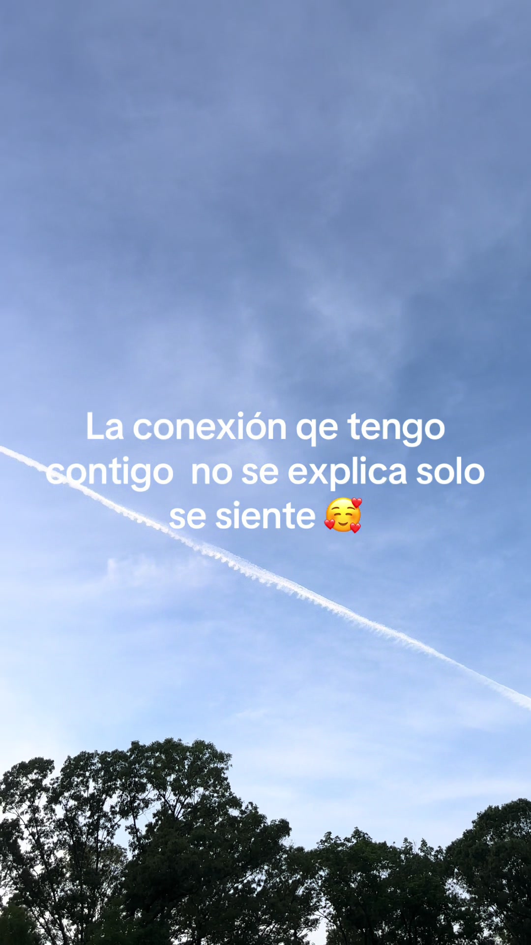 @bbchaparrita3
