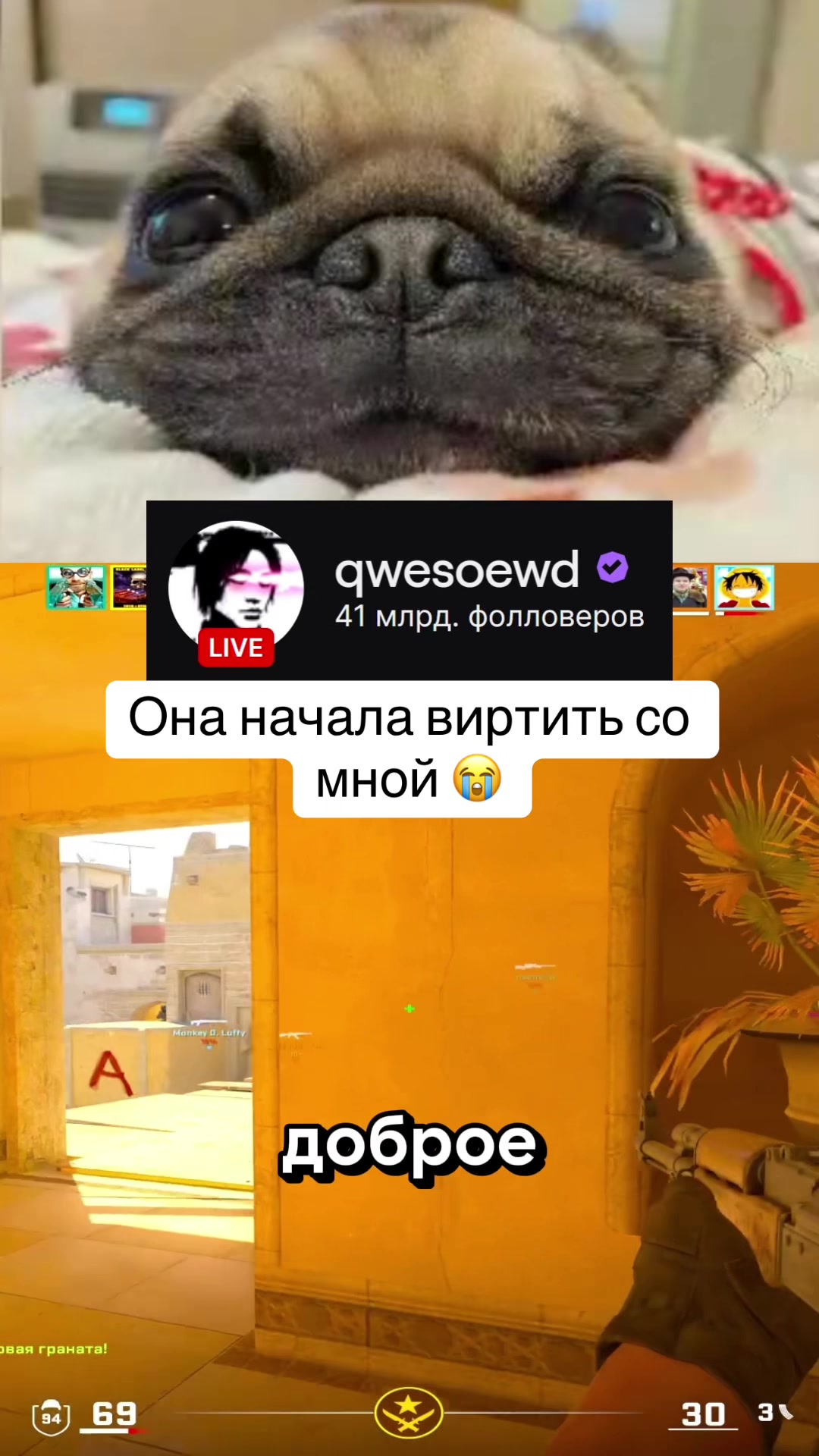 @qwesoewd_official