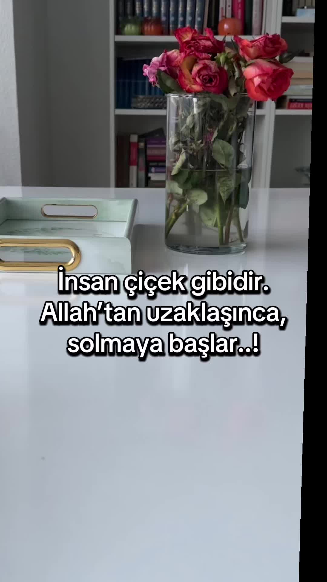 @fiyyruze