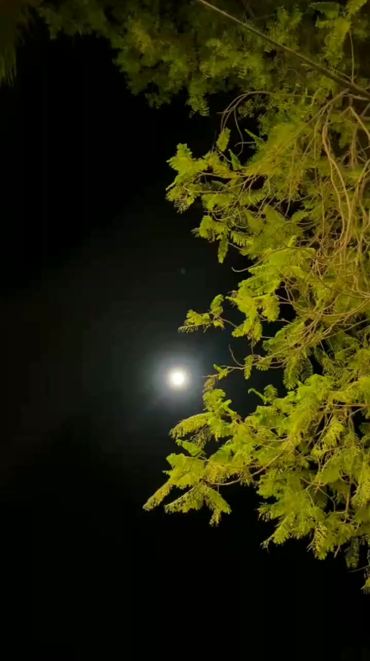 @Shameer Shah