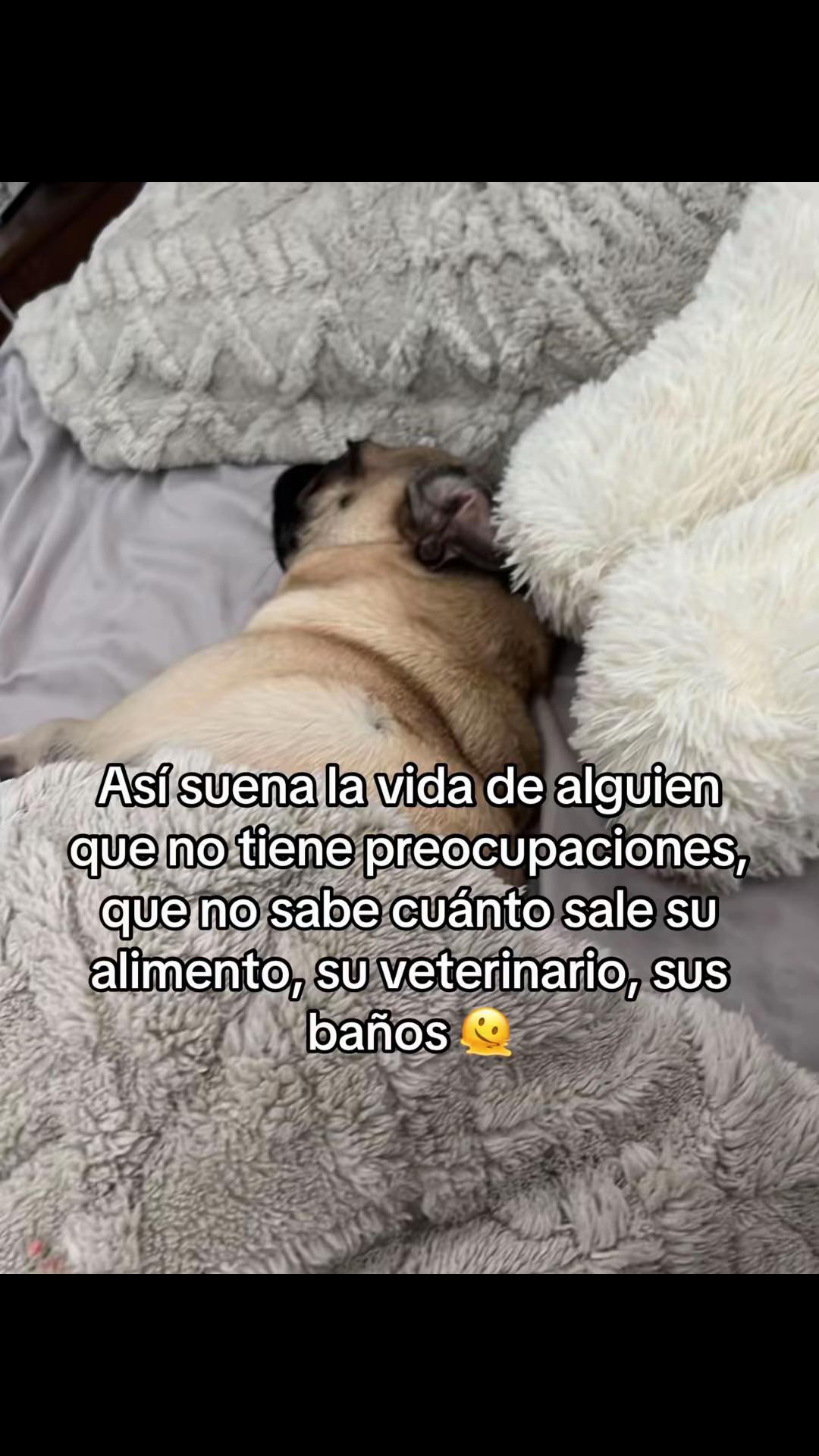 @Alexa&elcarnalchiss
