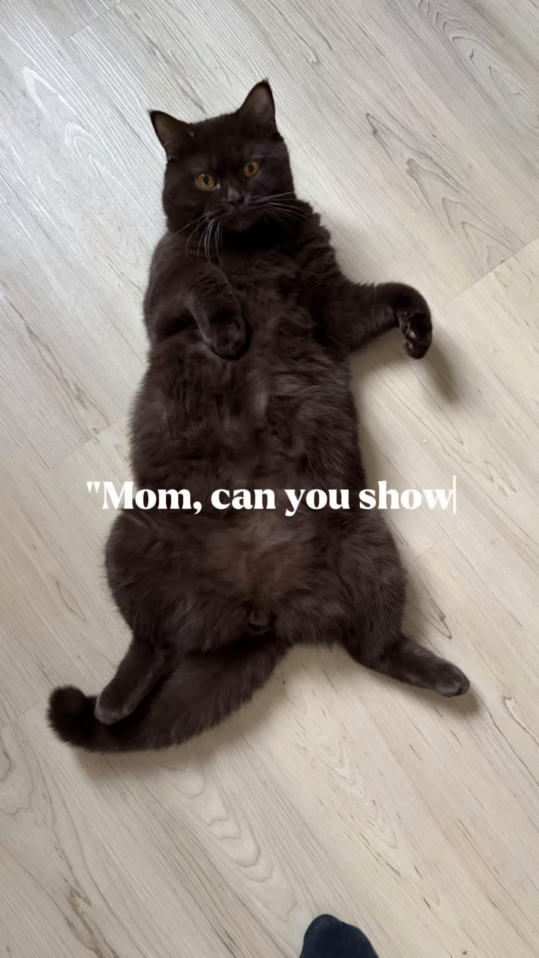 @Beo13