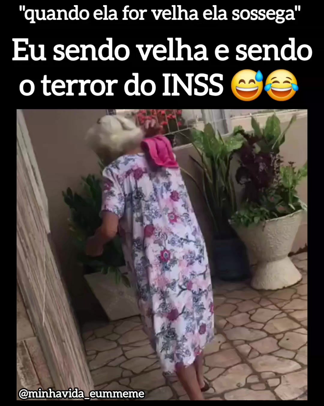 @"MINHA VIDA &Eacute; UM MEME"