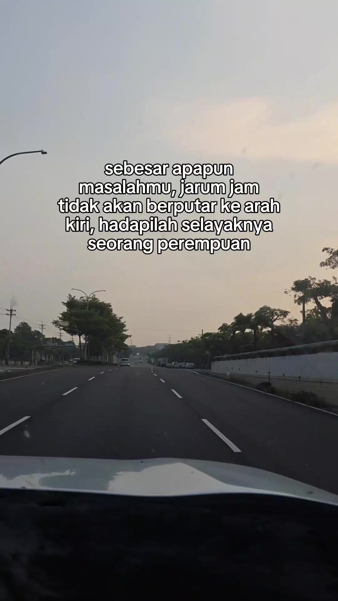 @🕊