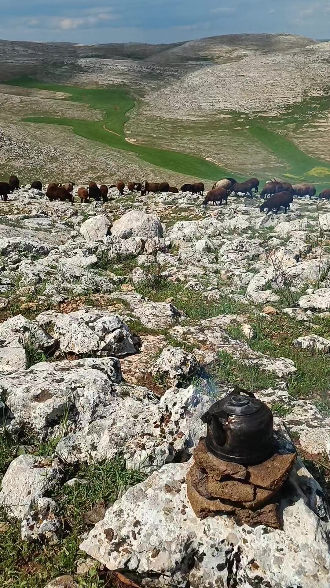 @Habip Bara&ccedil;kılı&ccedil;