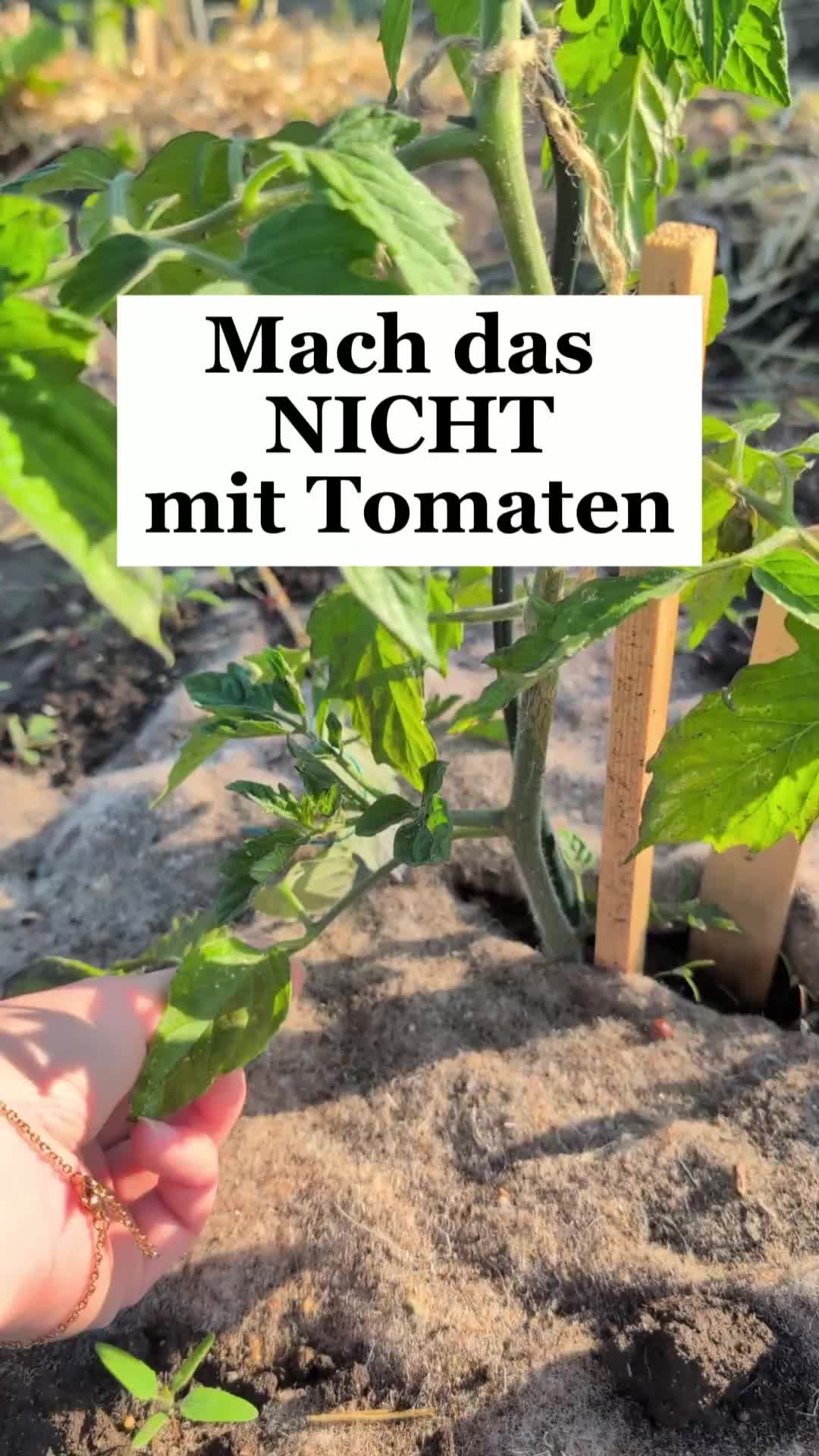 @ErnteExperte