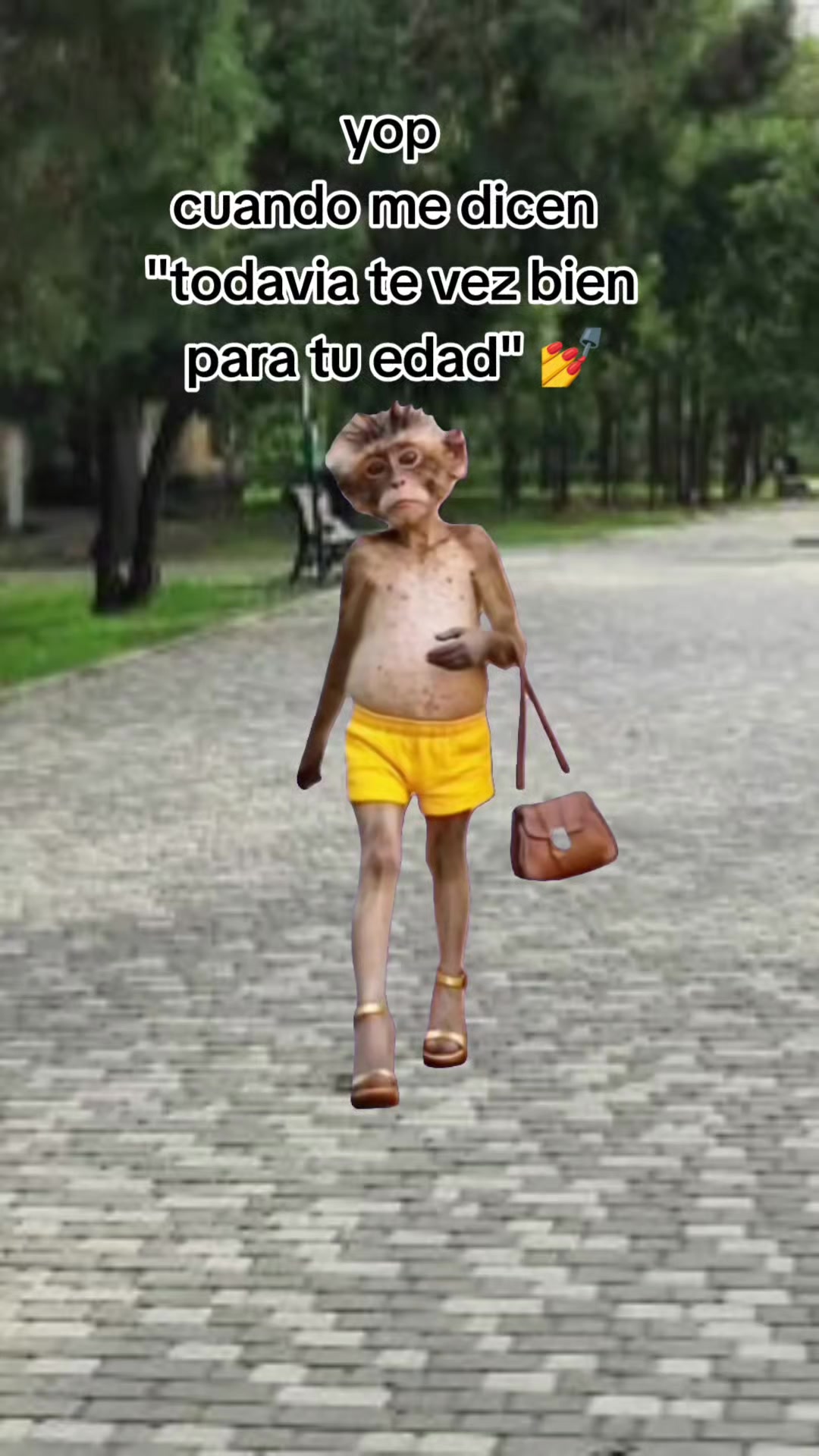 @V1V15 sanchez