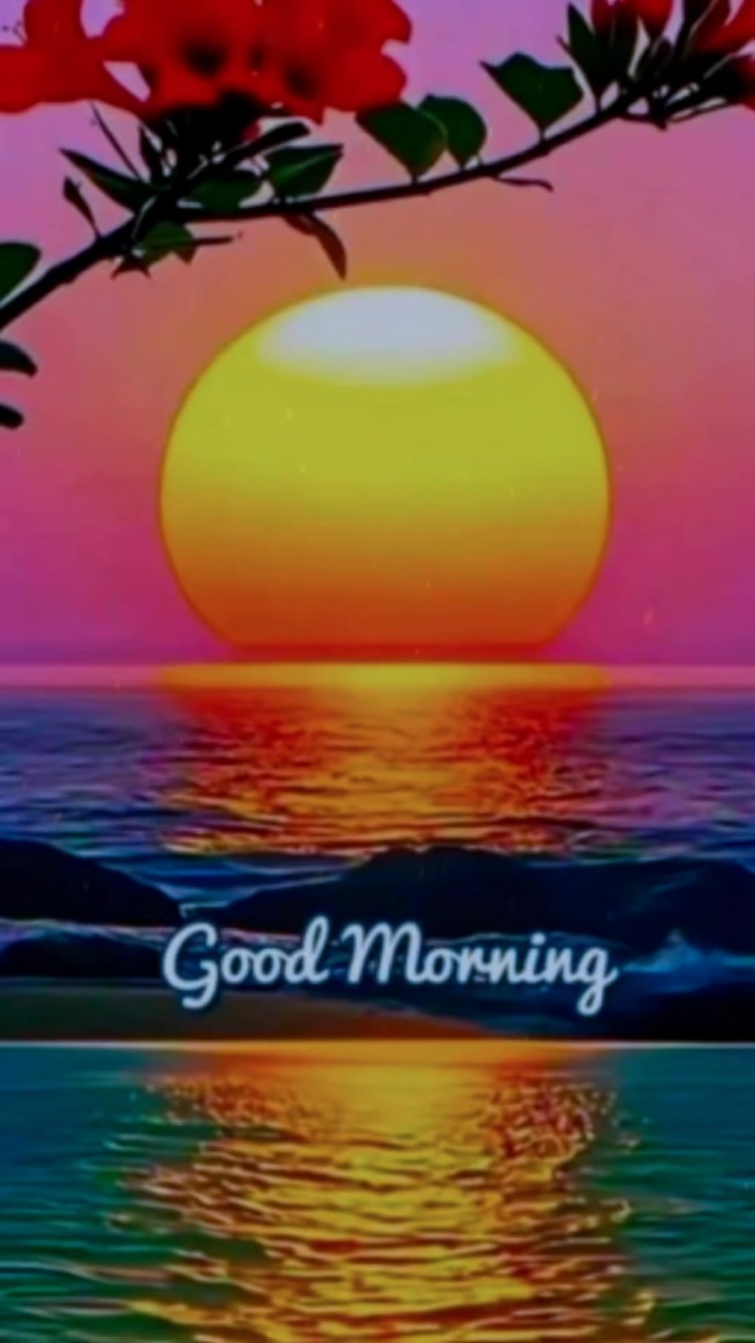 @Alifia