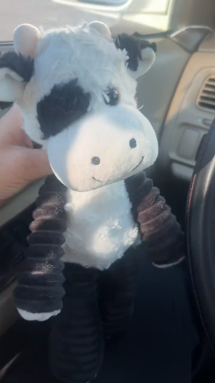 @Moobly The Cow