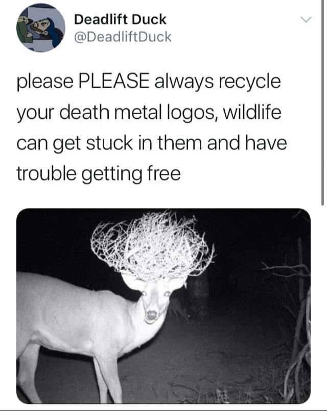 @Mariah Scary