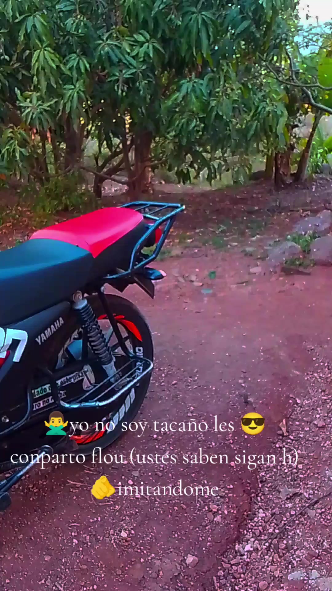 @Noel bekelef🤑