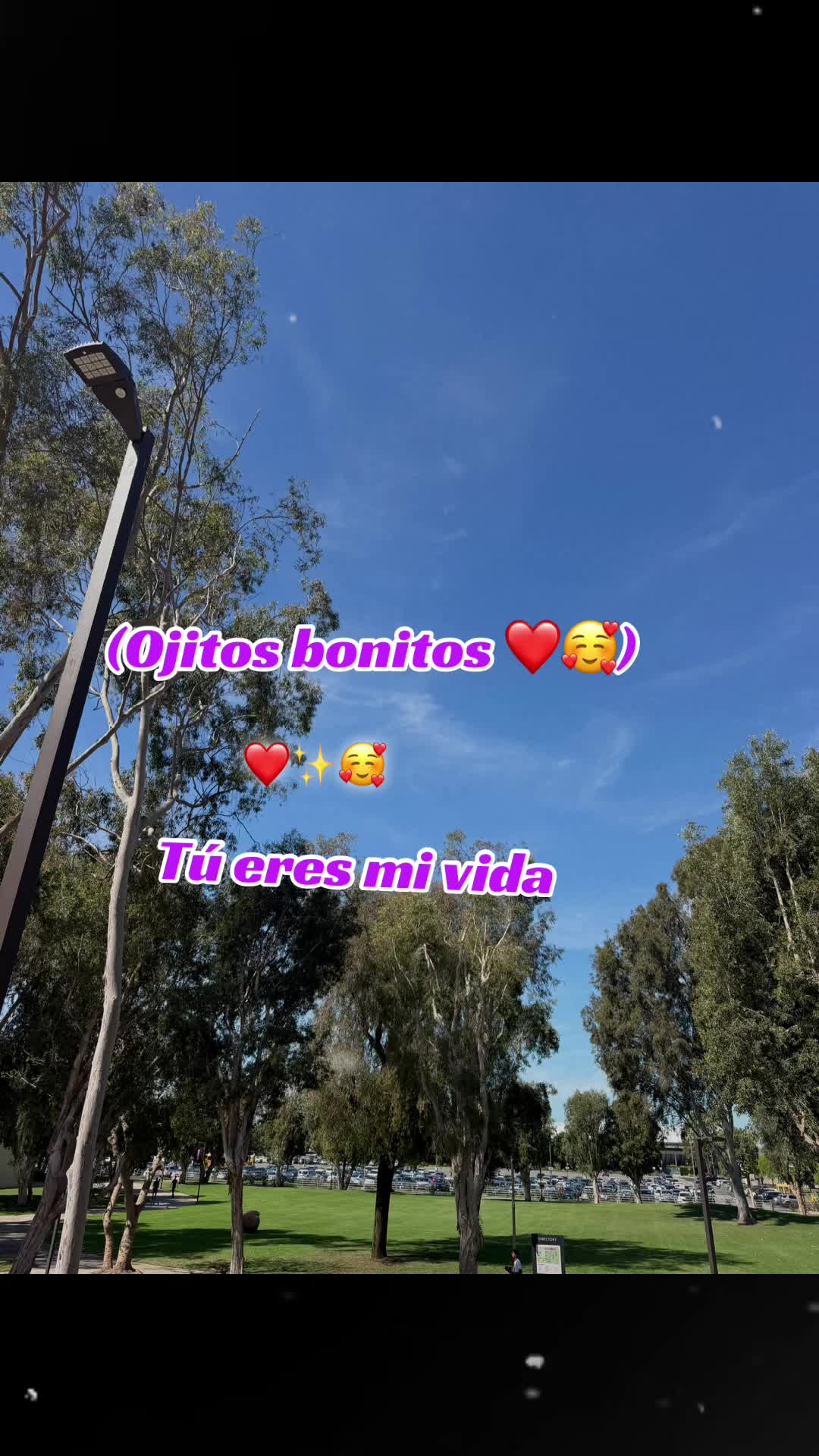 @𝓡𝓪𝓯𝓪𝓮𝓵𝓪 𝓜𝓮𝓵𝓬𝓱𝓸𝓻
