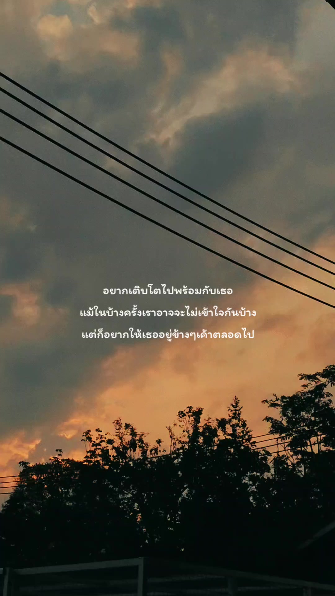 @pipat🌻🤍51.7K