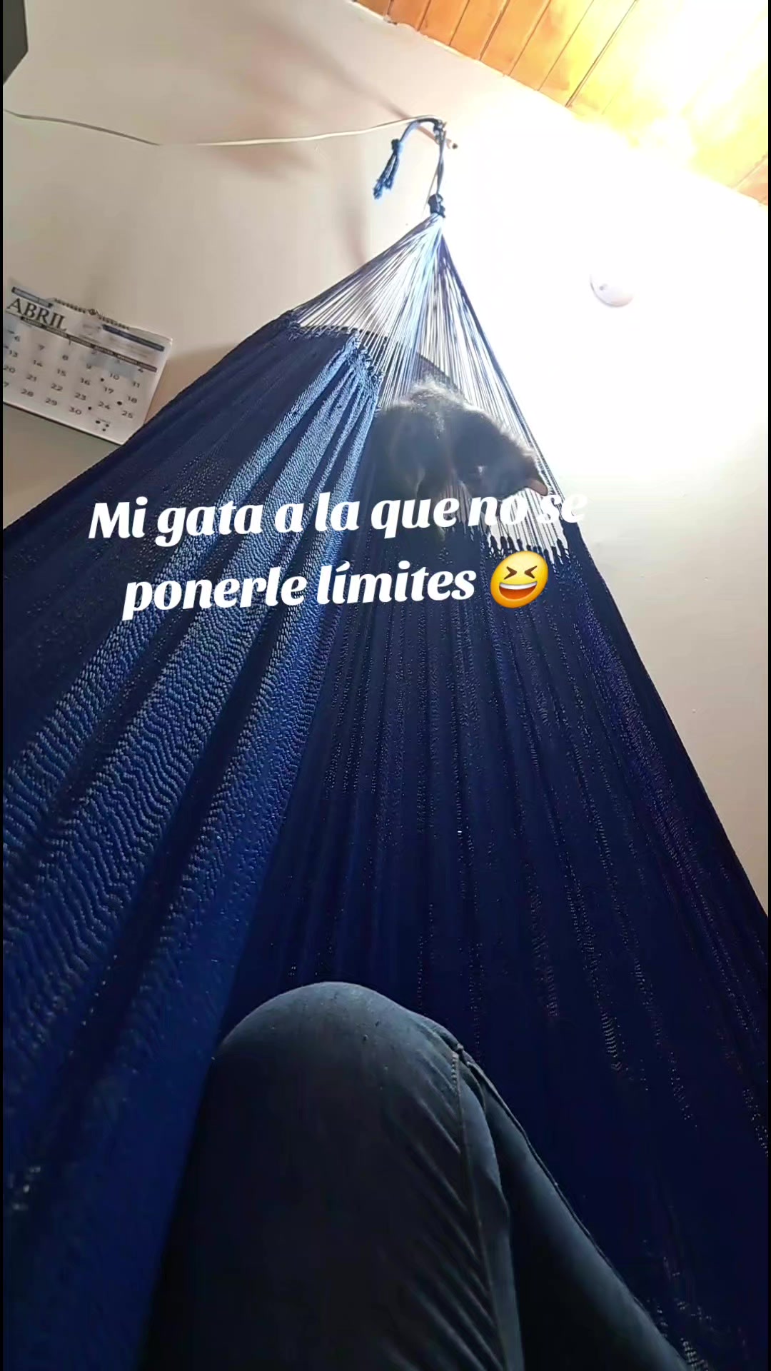 @Yelisse Pedraza