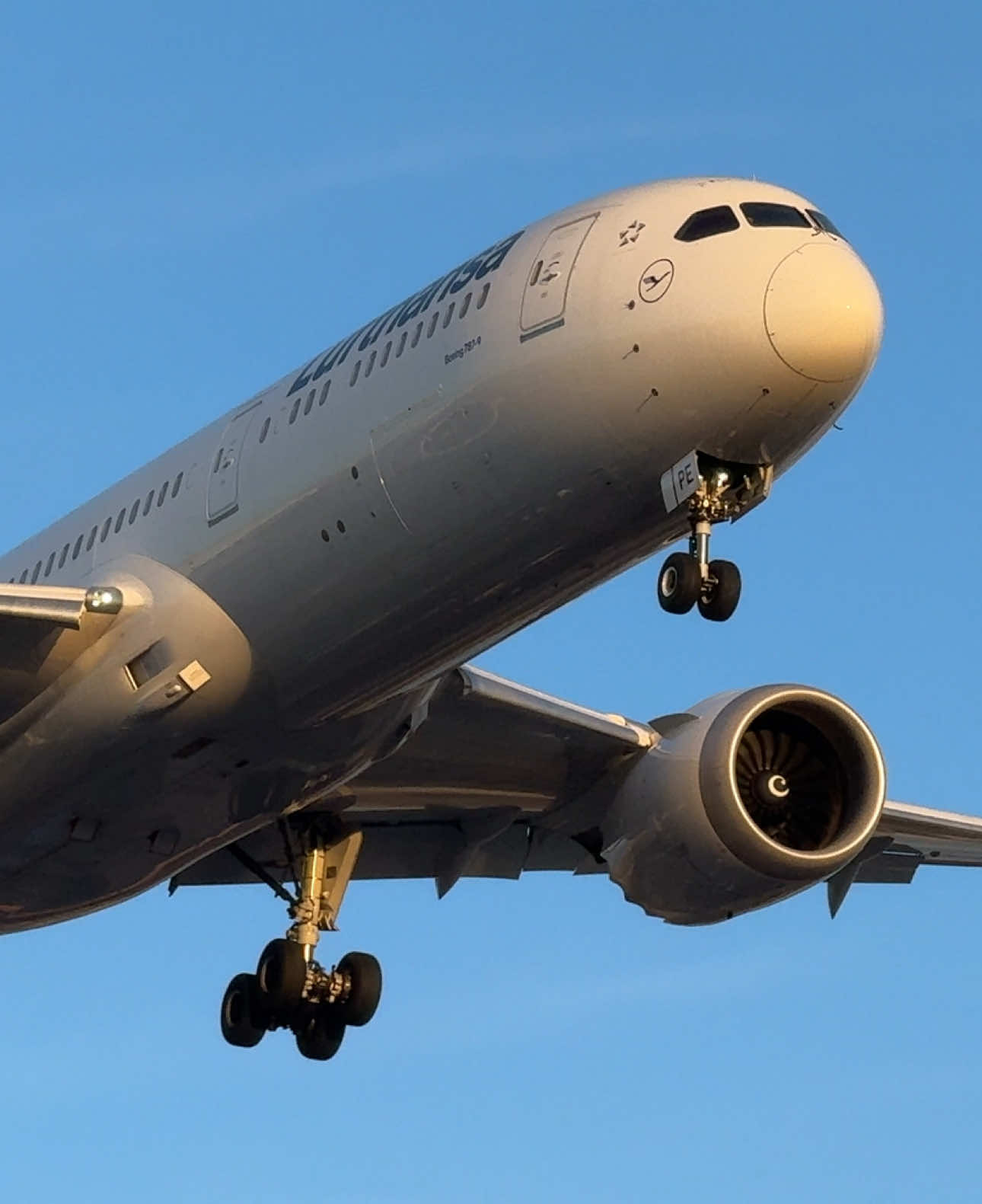 @Toronto Aviation