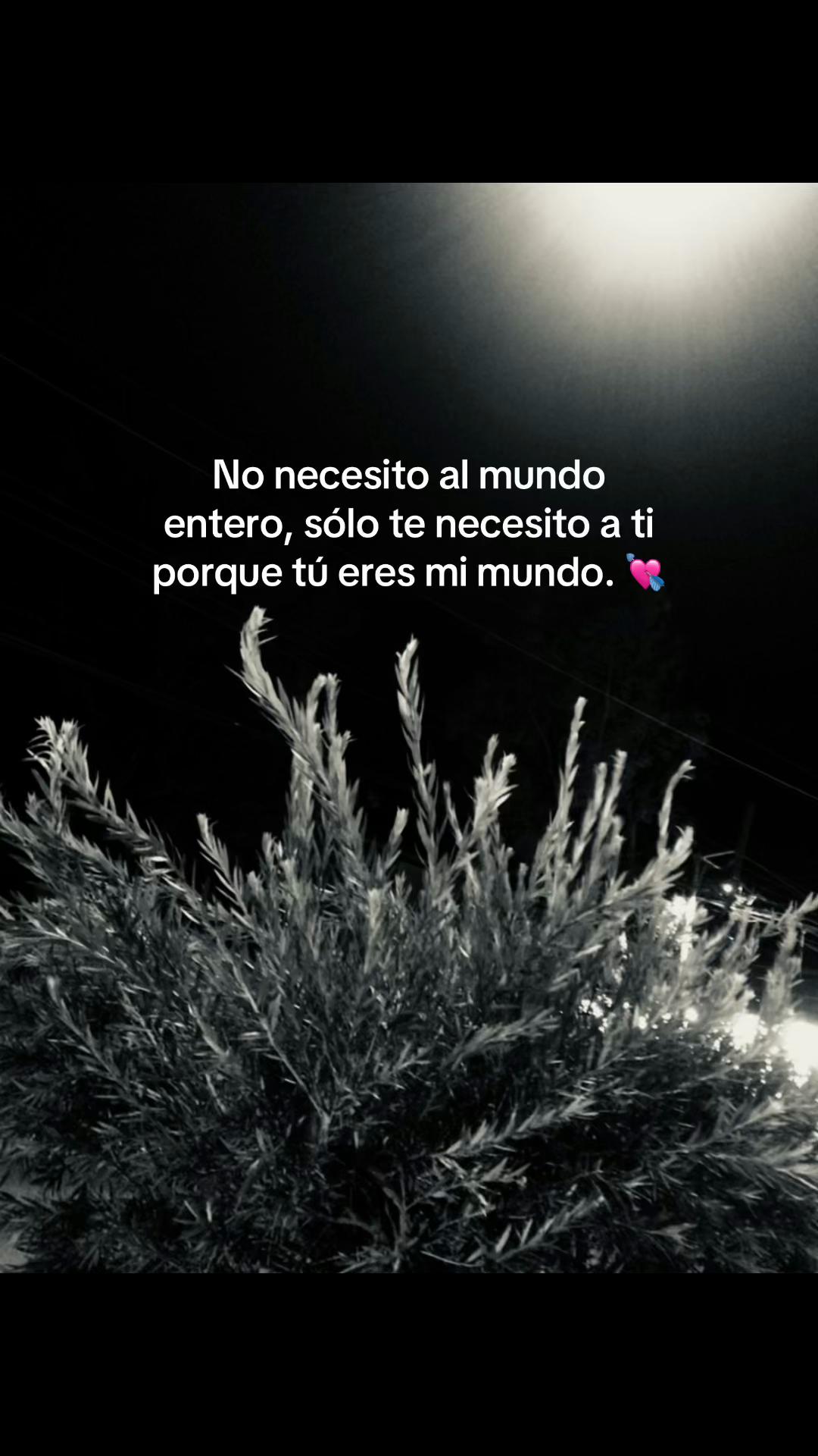 @🥀 RICKY 🪫