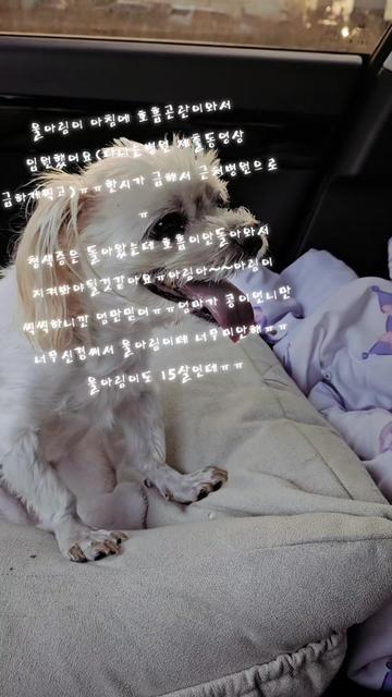 @아콩맘♡