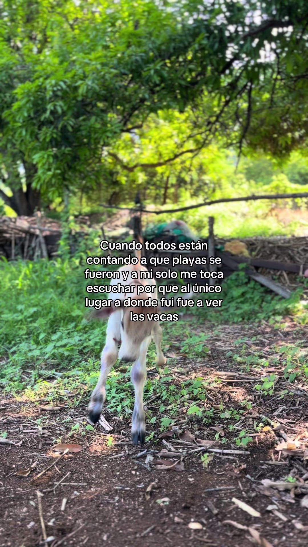 @Lachicadelagro_👩&zwj;🌾🌱