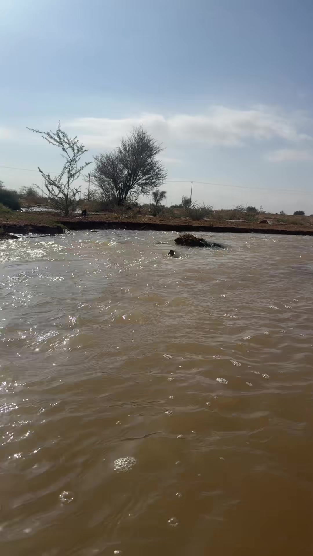 @يوميات حنان🇸🇦
